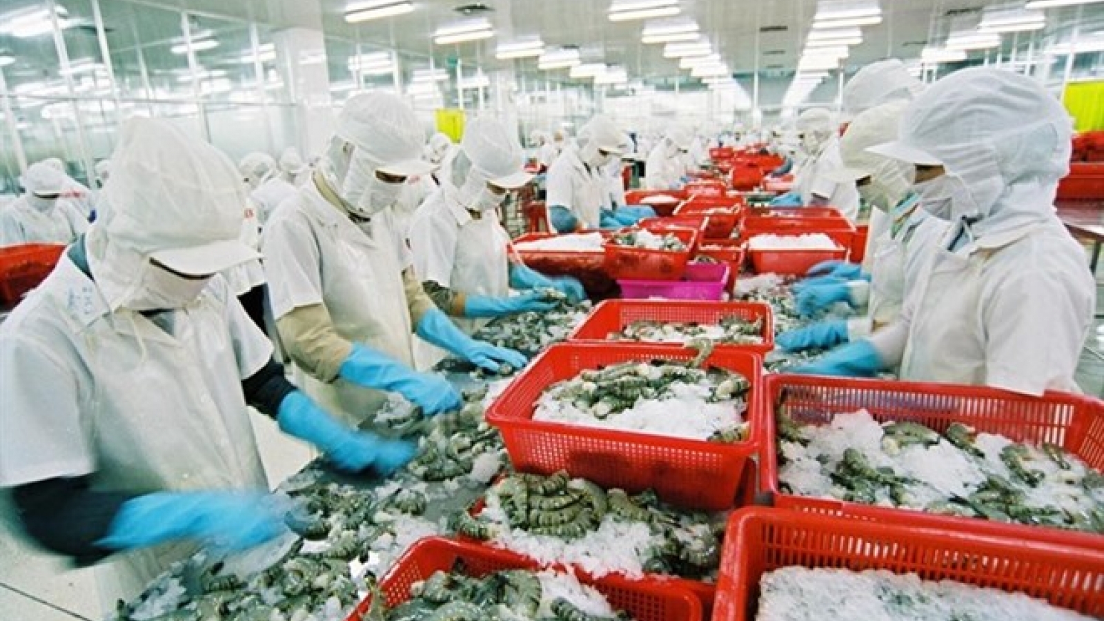 Seafood export turnover expected to hit US$ 8.3 billion