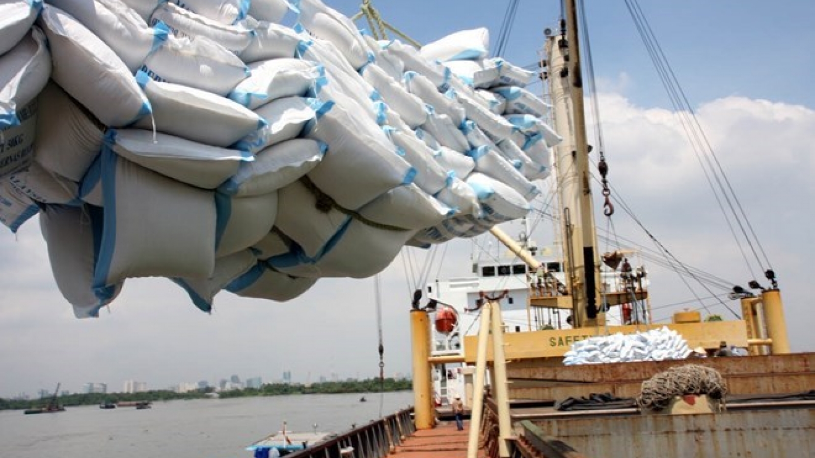 Developing product chains helps boost sustainable export growth