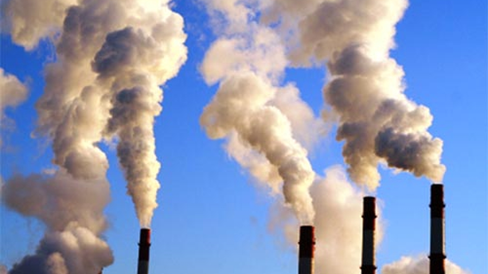 Experts discuss measures to mitigate impact of climate change