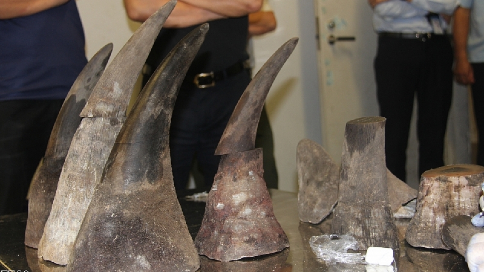 15 kg of rhino horns seized at Vietnamese airport