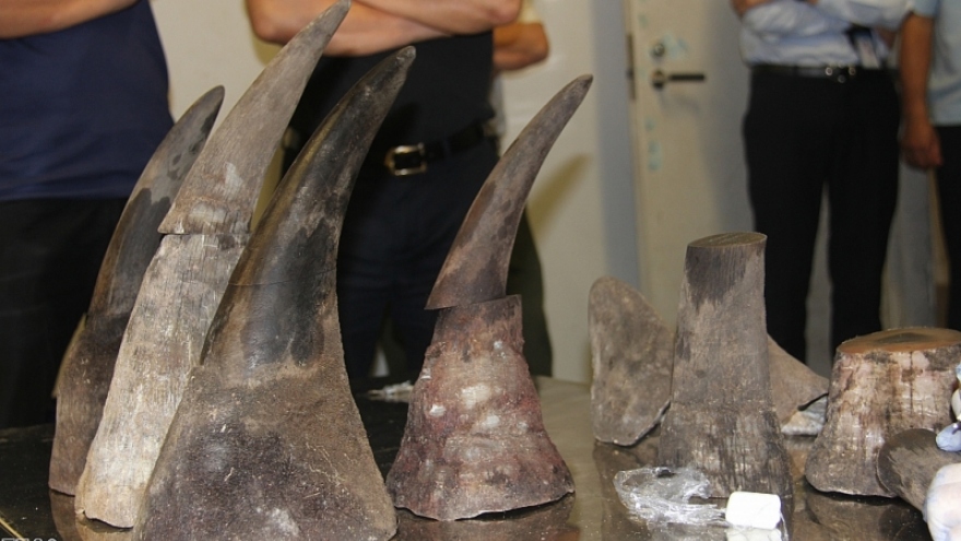 15 kg of rhino horns seized at Vietnamese airport