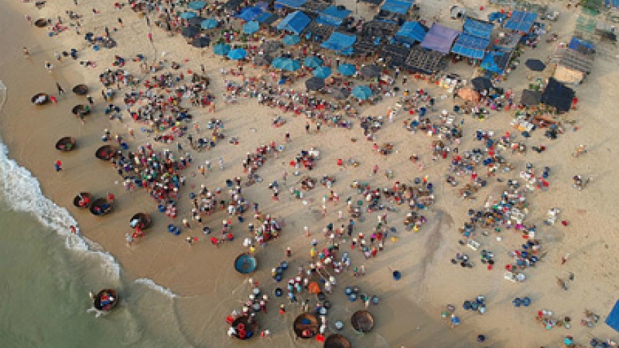 Seafood market open for beachside business on Vietnam's central coast