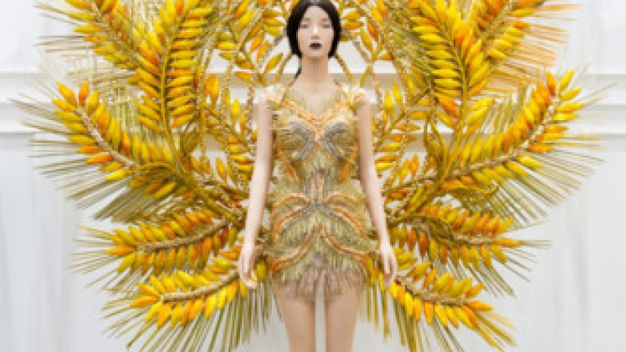 Tram Luu will wear rice themed costume at Mrs Universe 2017