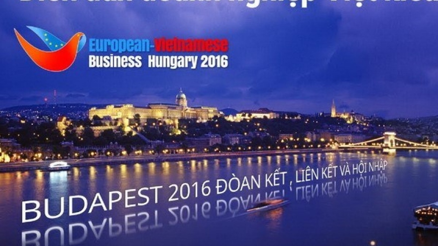 Vietnamese businesses in Europe meet in Hungary