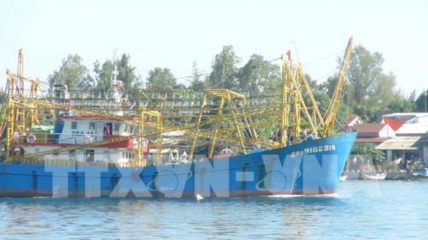 Quang Nam to spend US$5 million upgrading fishing port
