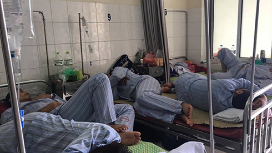 Dengue fever epidemic sees complicated developments in Binh Dinh