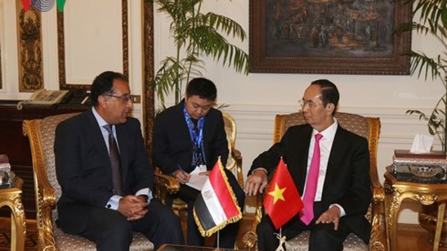 Vietnam, Egypt should bolster trade promotion: President