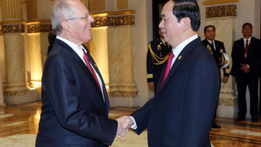 Vietnamese, Peruvian Presidents discuss boosting ties