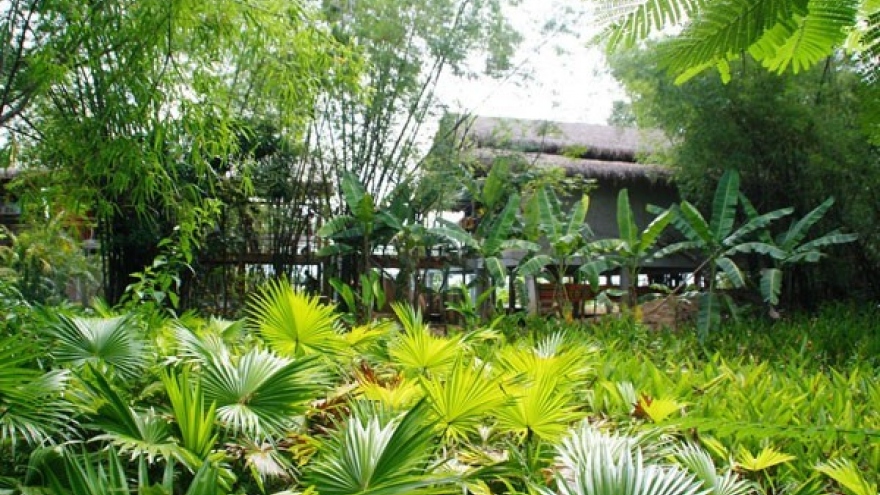 Sustainable eco-tourism branched out in Quang Nam province
