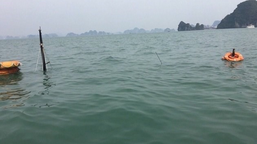 Quang Ninh: ship sinks, all 31 Chinese tourists saved