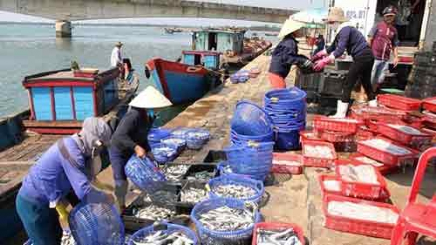 Central fishermen receive support following mass fish deaths