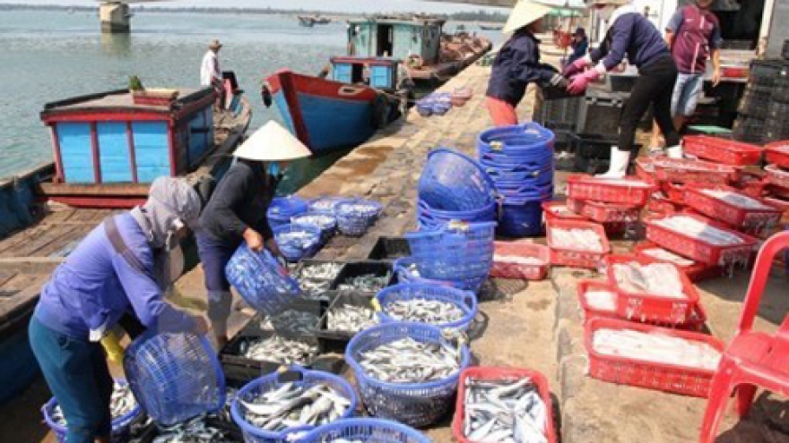 Quang Tri: environmental victims receive compensation