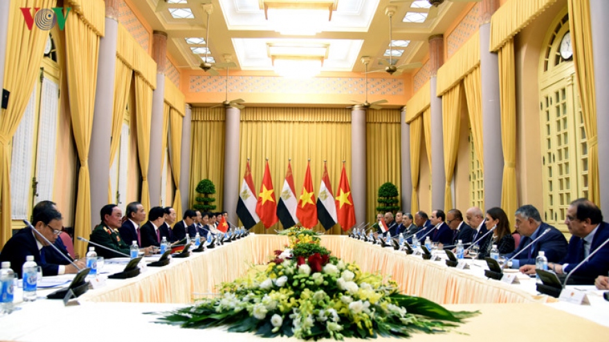 Vietnam, Egypt examine ways to bolster extensive cooperation