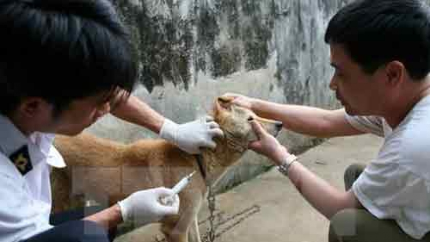 Localities asked to take measure to prevent rabies