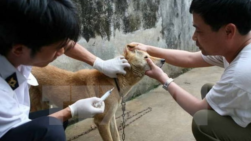 Vietnam moves to eliminate rabies