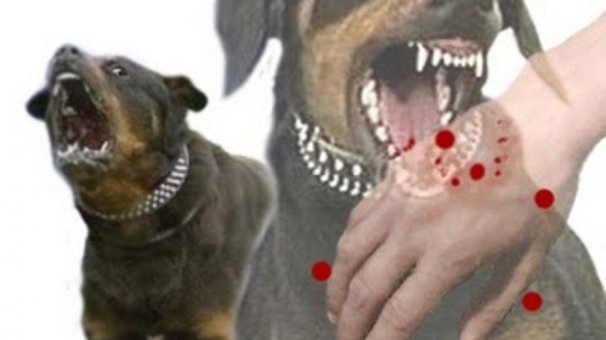 Conference raises awareness of rabies’ danger