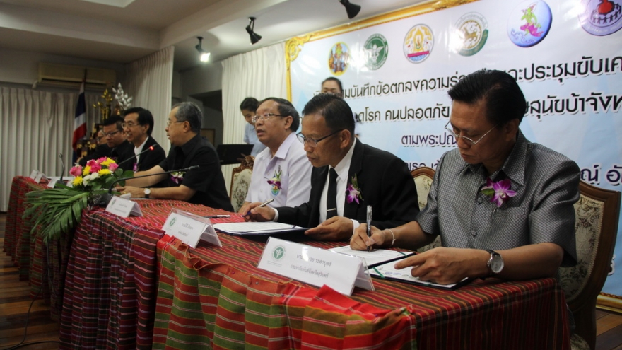 Surin to launch campaign against rabies