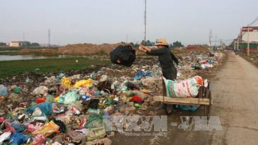 HCM City to install environmental violation cameras