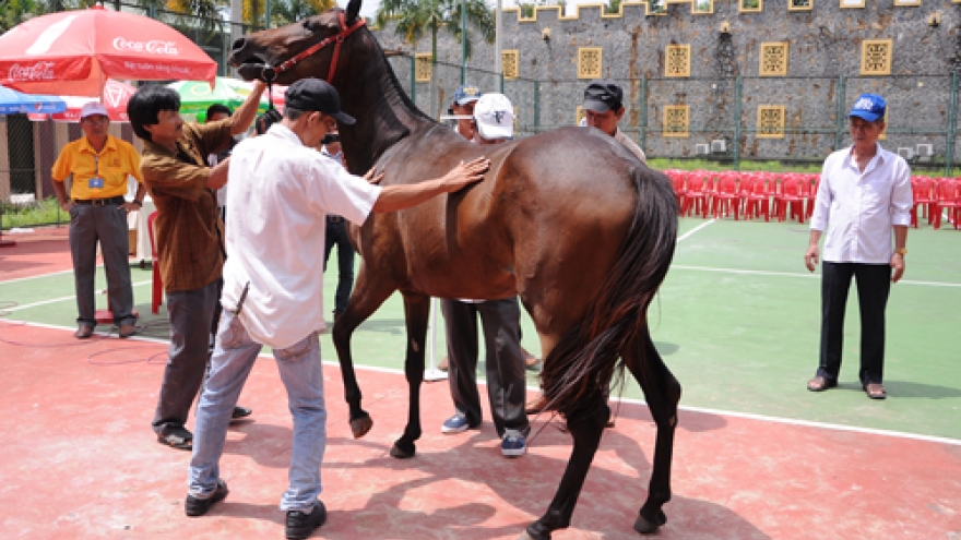 US$100 million racecourse to open in Binh Duong