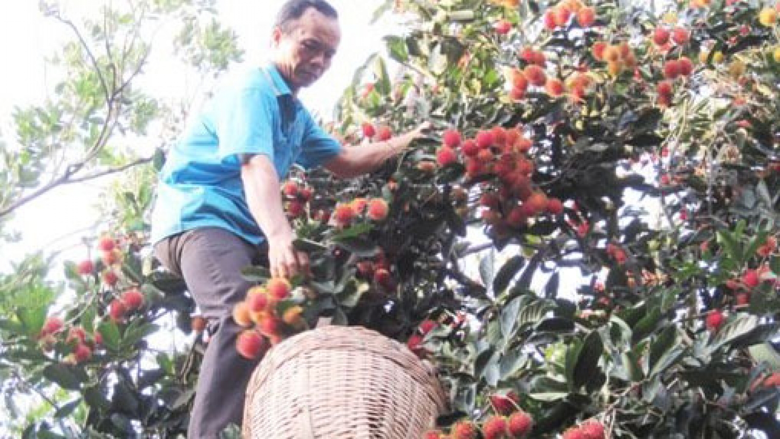 Dong Nai seeks to boost exports to RoK