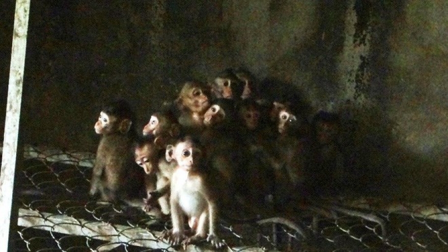 Binh Phuoc local found illegally caging rare animals