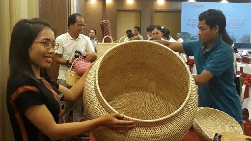 US-funded project helps develop rattan, herbal plants in Quang Nam