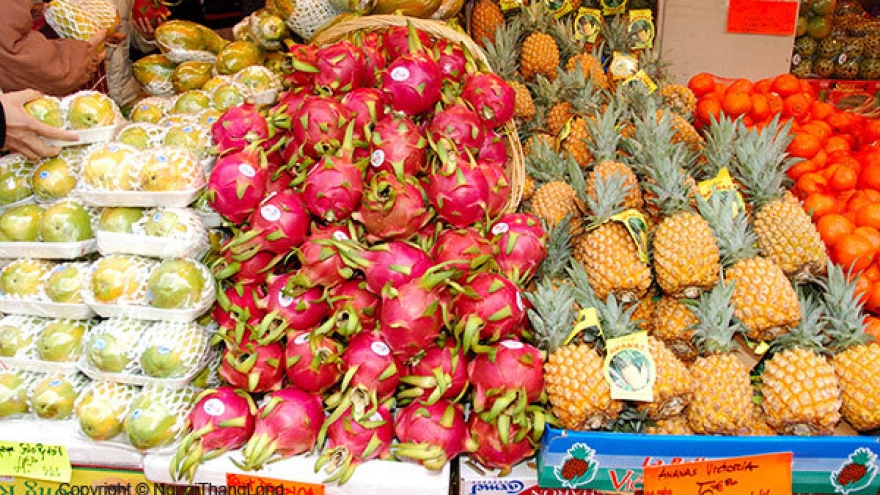 Organic produce popular among Vietnamese consumers despite higher prices
