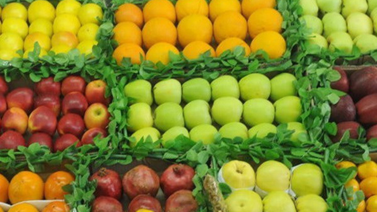 Fruit, vegetable exports to increase