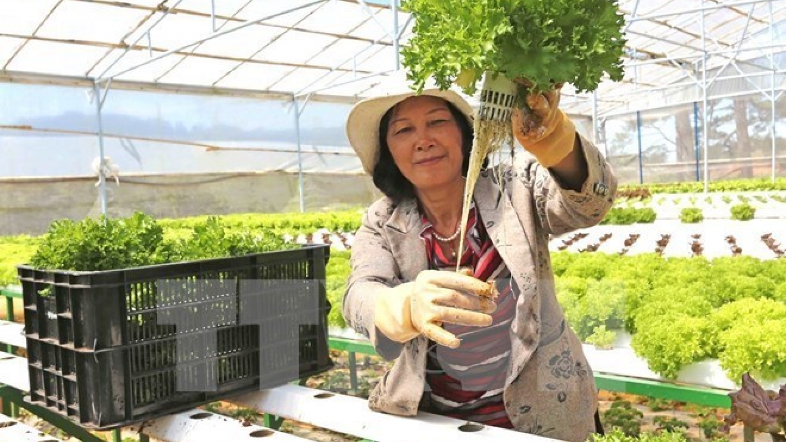 Conference to draw more private investment in agriculture