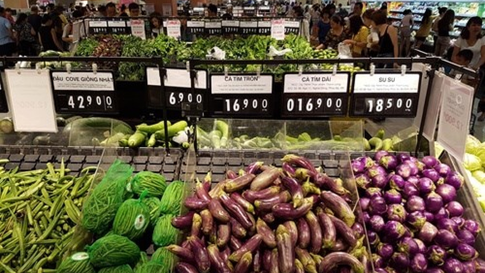 Agriculture needs restructuring: experts say