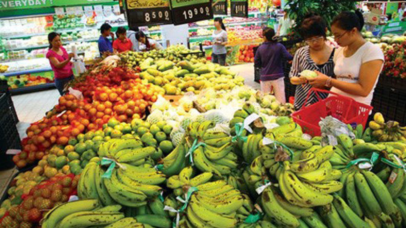 Fruit growers in Vietnam over-reliant on Chinese buyers