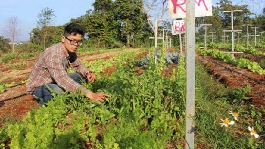 Vietnamese garden has Israeli roots