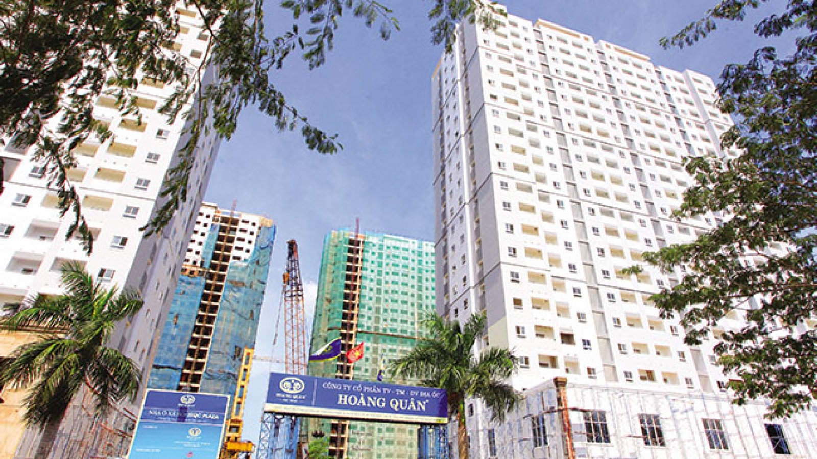 Real estate firms lift foreign limits