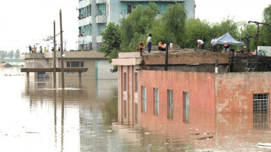 Vietnam Red Cross provides relief aid to DPRK’s flood victims