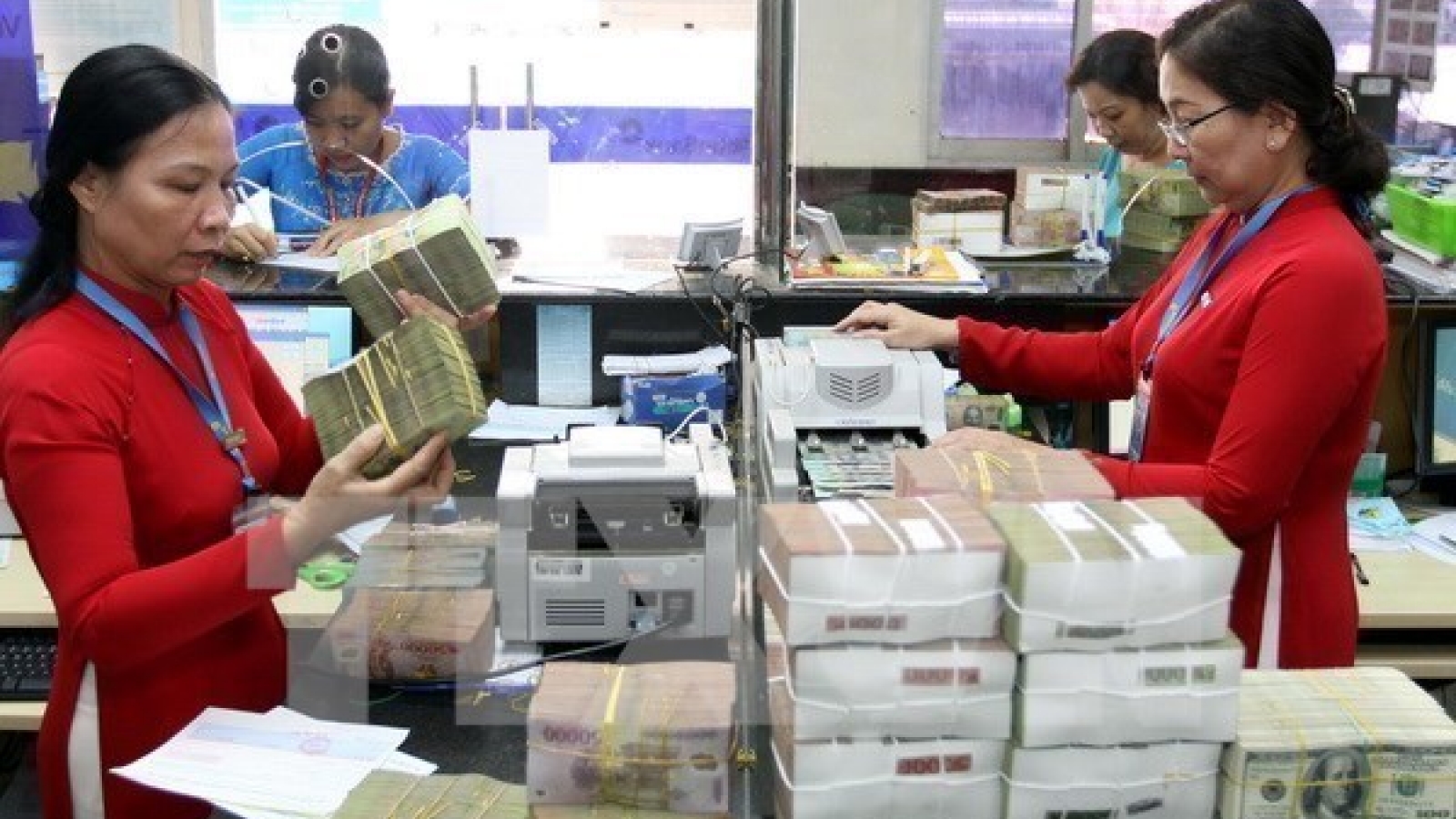 Reference exchange rate goes up by 8VND
