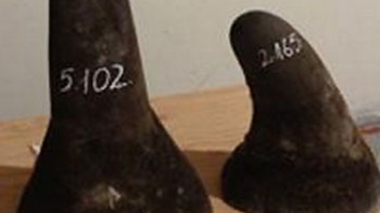 Ruling to lift rhino horn sales ban sends mixed messages to Vietnamese