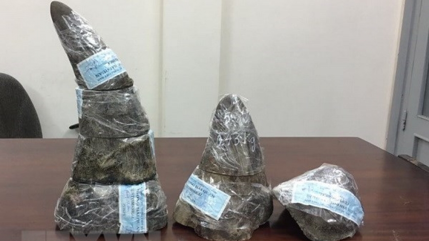 Wildlife trafficker gets 13 months in prison