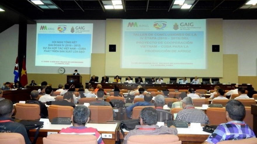 Encouraging outcomes of Vietnam-Cuba rice production project
