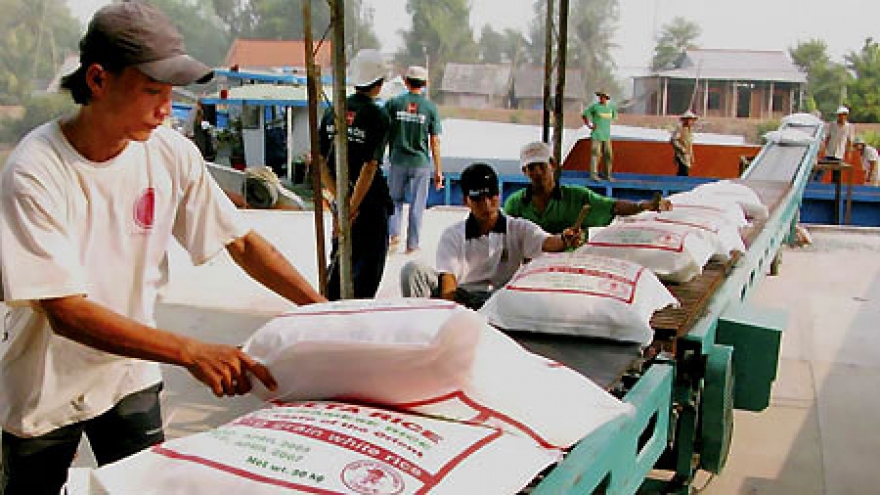 Over 4 million tonnes of rice exported in seven months