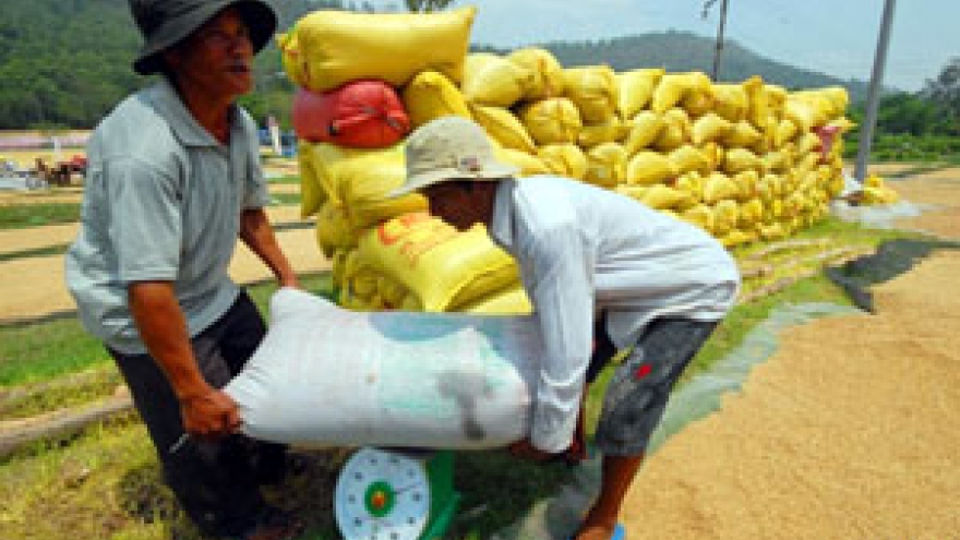 Mekong Delta exports 88,600 tonnes of rice in Jan