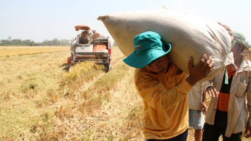 China’s tightened inspection good for Vietnamese rice exporters