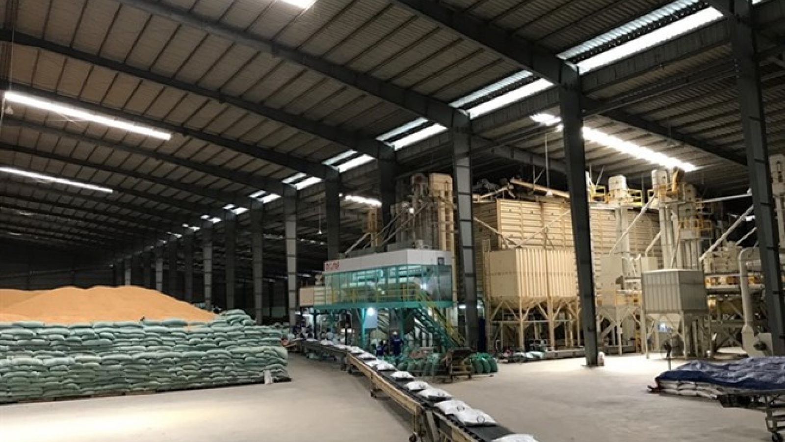 Vietnamese group wins Japonica rice export contracts to RoK