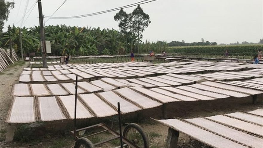 Rice paper village keeps ancient craft alive