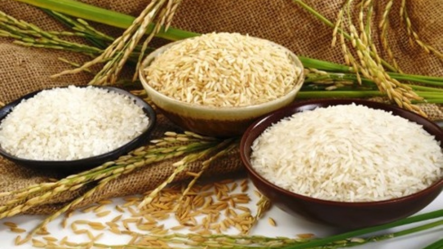 Sharp rise in rice exports