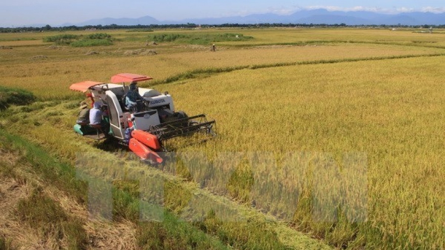 Over 5 million tonnes of rice exported in ten months