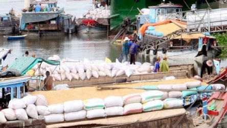Vietnam needs to create a rice brand: experts