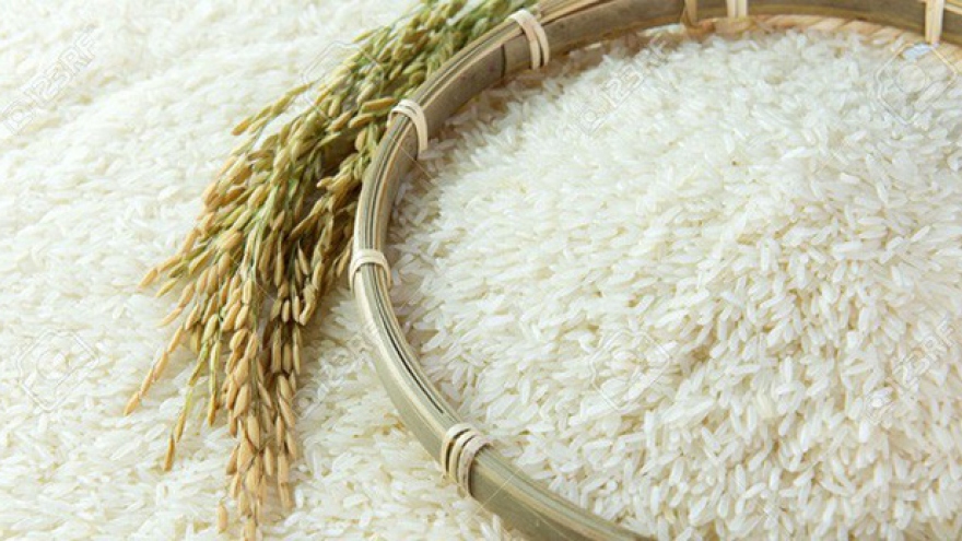 Value and volume of rice exports on the rise