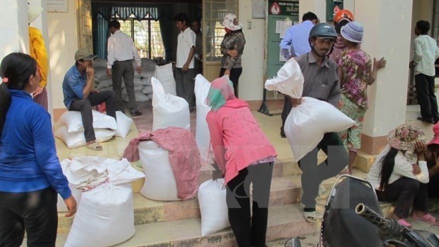 Almost 536 tonnes of rice offered to northern Ha Giang province