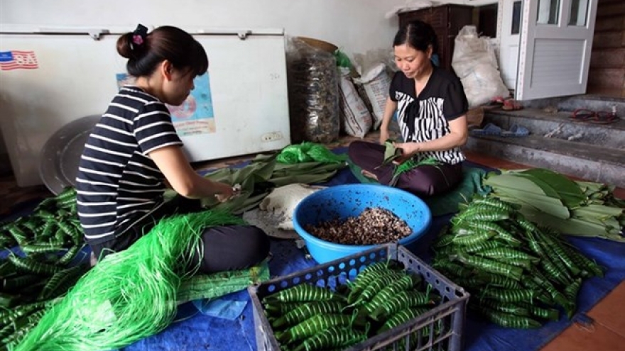 Hung Yen rice cakes enchant with rural flavour