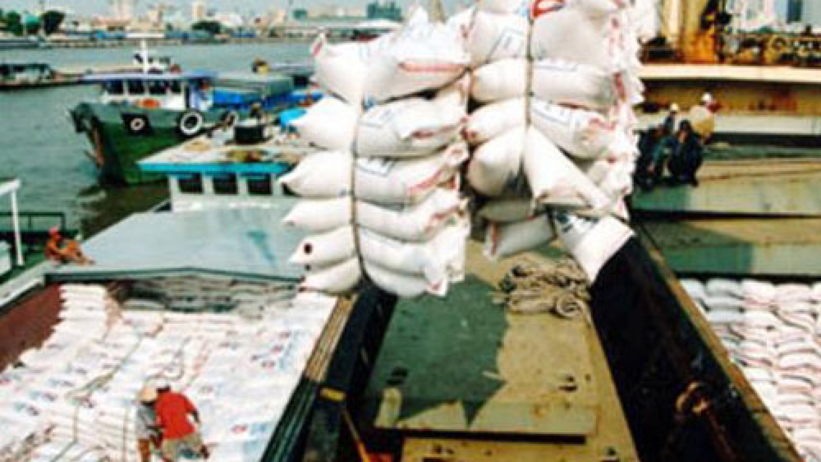 Russian keen on Vietnamese rice